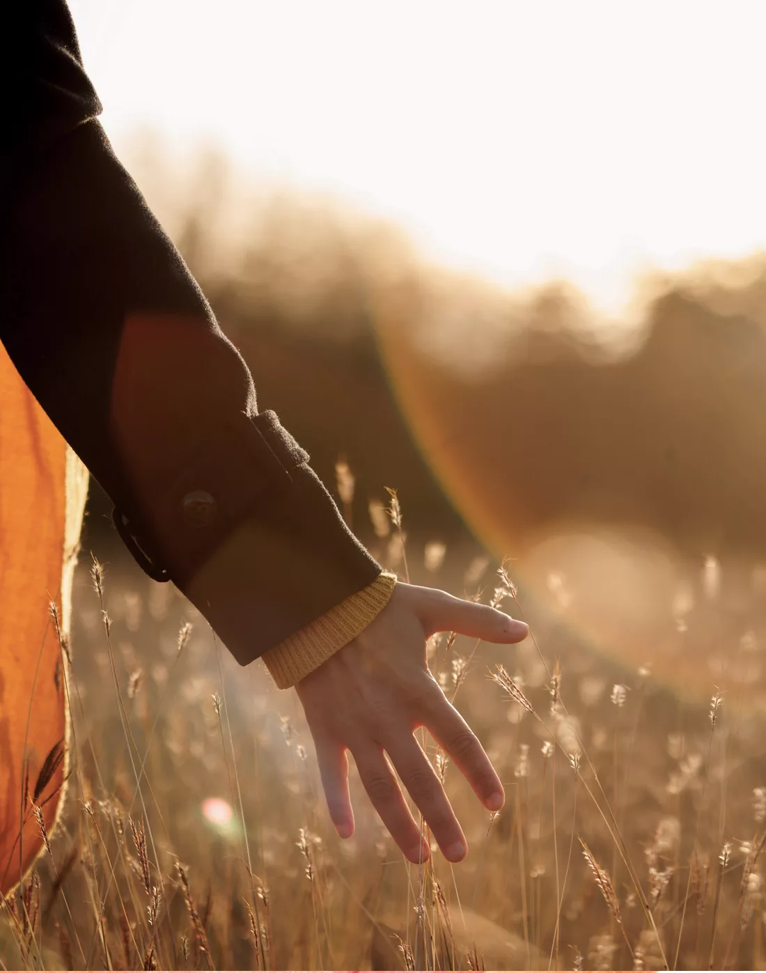Main tendue vers les herbes d’un champ au soleil couchant